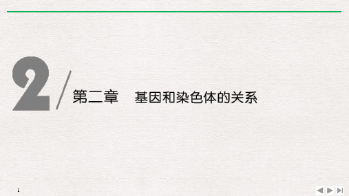 新教材人教版生物必修第二册课件211减数分裂