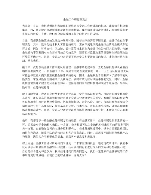 金融工作研讨班发言