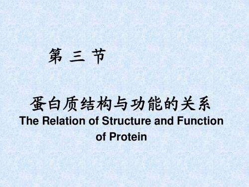 高中生物竞赛复习课件生物化学——第一章 蛋白质化学2