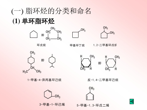 2烷烃环烃-2