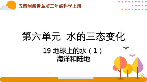 五四制青岛版2022-2023三年级科学上册第六单元第19课《地球上的水 (1)》课件(定稿)