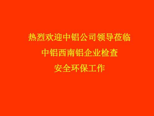 中铝西南铝企业安全环保工作汇报材料.