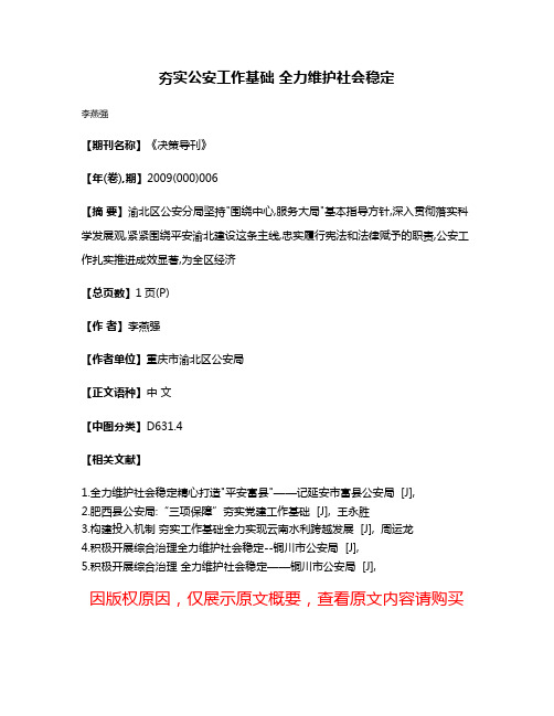 夯实公安工作基础 全力维护社会稳定