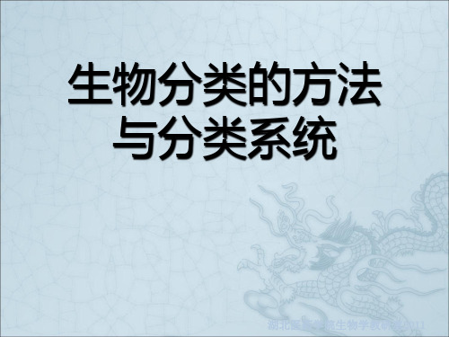 生物分类的方法与分类系统