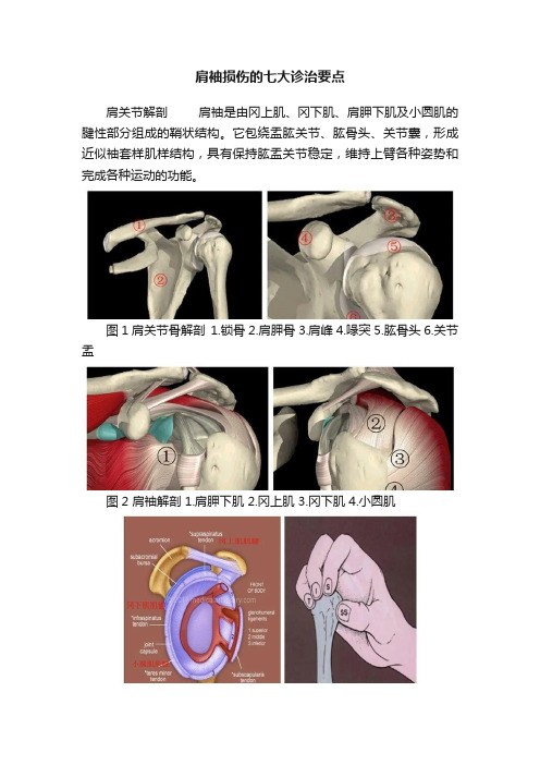 肩袖损伤的七大诊治要点