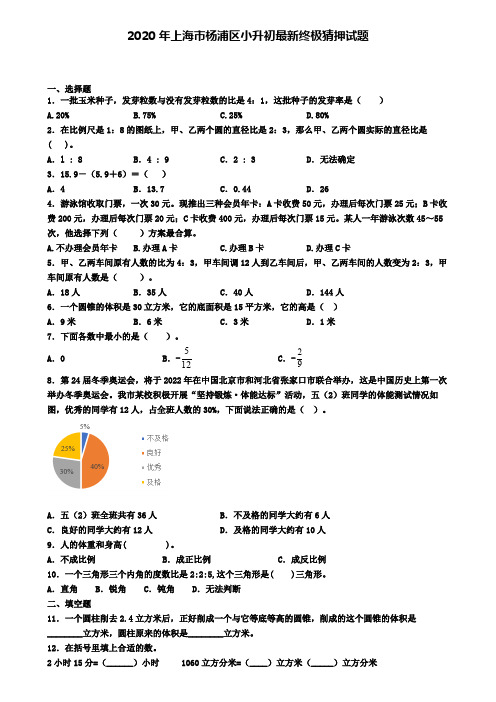 2020年上海市杨浦区小升初最新终极猜押试题