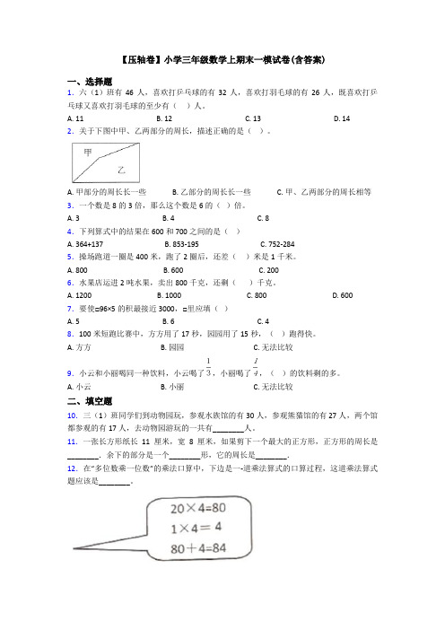 【压轴卷】小学三年级数学上期末一模试卷(含答案)