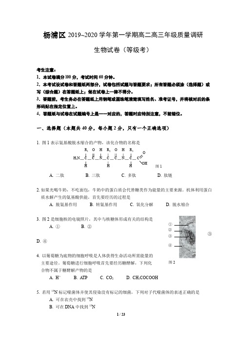 上海市杨浦区2020年高二高三第一学期期末(一模)学科质量检测生物试题(word版)