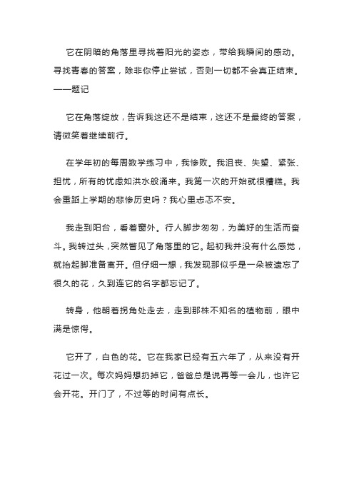 初中满分作文寻找青春的答案