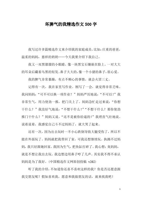 坏脾气的我精选作文500字