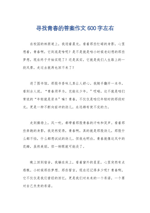 寻找青春的答案作文600字左右