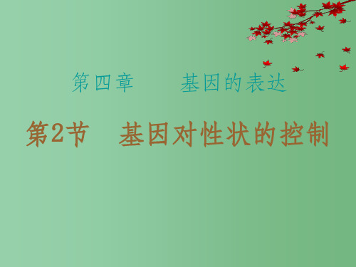 高中生物 第4章 基因的表达 第2节 基因对性状的控制高效整合课件 新人教版必修2
