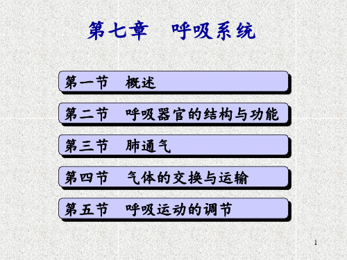 解剖生理学基础—呼吸系统ppt参考课件