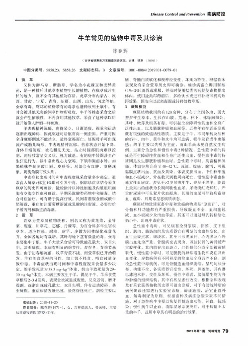 牛羊常见的植物中毒及其诊治