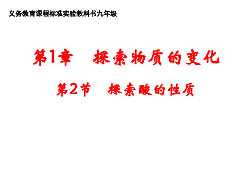 探索酸的性质--浙教版(2019年10月整理)