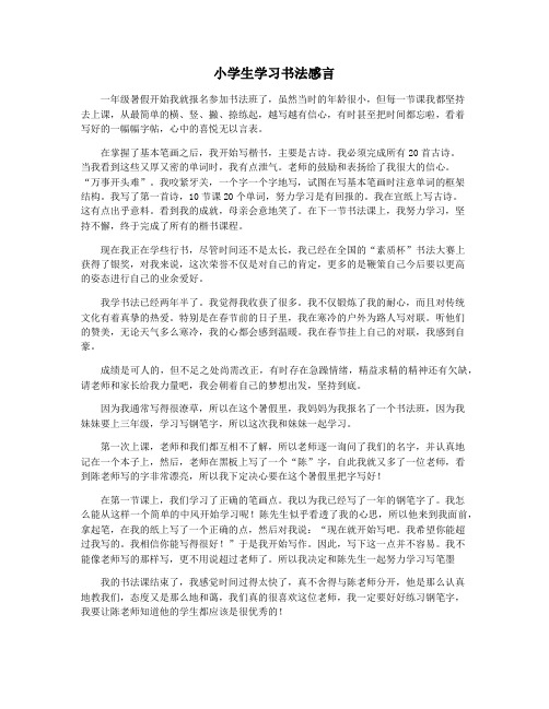 小学生学习书法感言