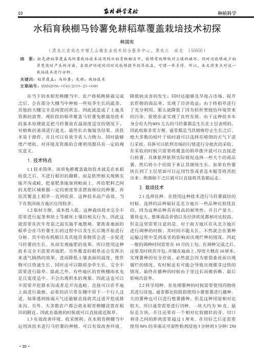水稻育秧棚马铃薯免耕稻草覆盖栽培技术初探