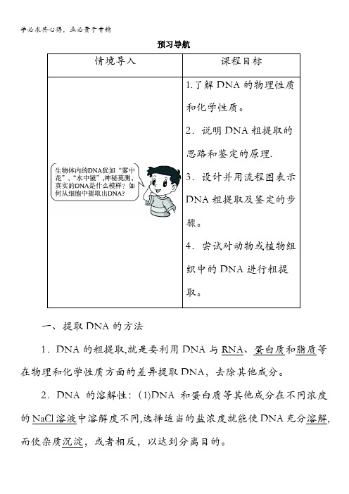 生物选修1学案：预习导航专题5课题1 DNA的粗提取与鉴定含解析