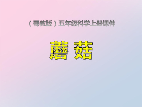 2021年《蘑菇》走进树林PPT课件文档