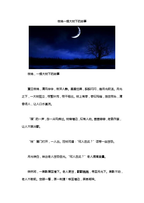 夜晚一棵大树下的故事