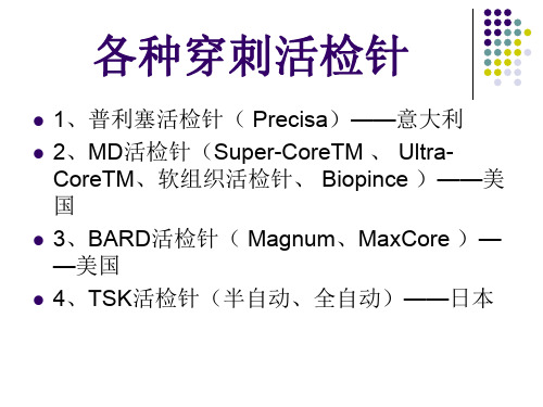 各种穿刺活检针.精品文档15页