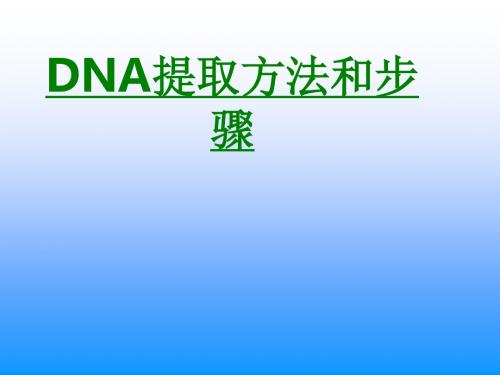 DNA提取方法和步骤课件
