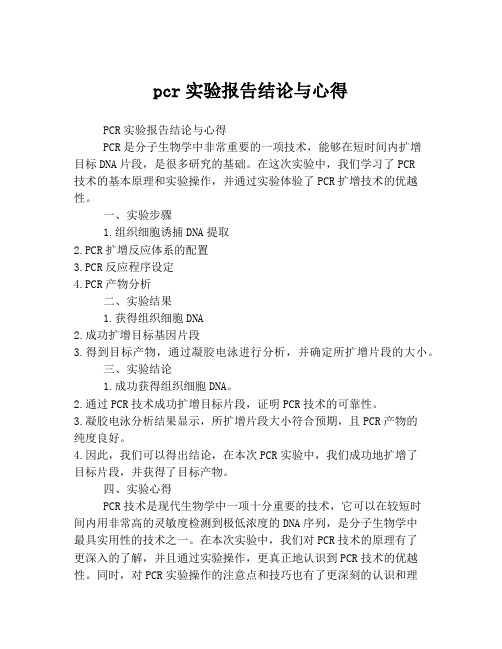 pcr实验报告结论与心得