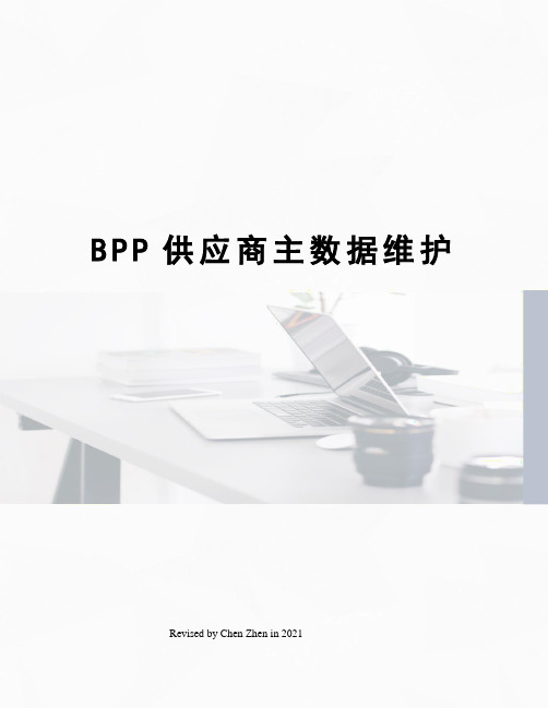 BPP供应商主数据维护