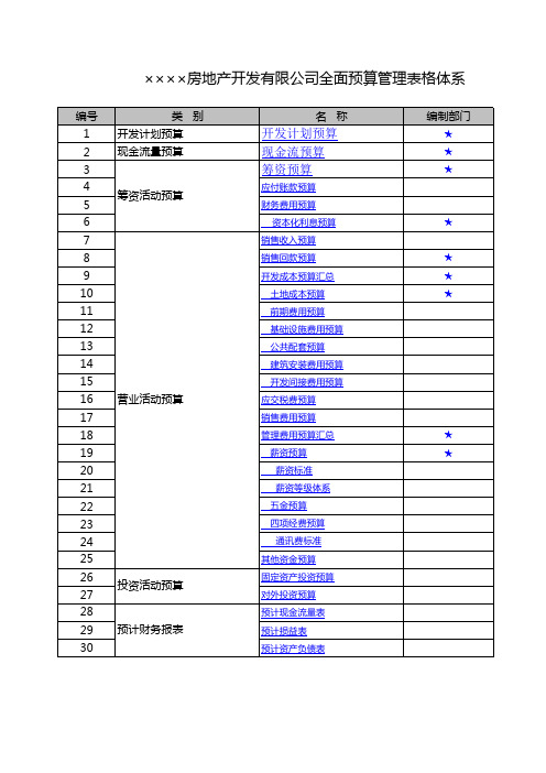 某房地产开发公司全面预算管理表格最初模板