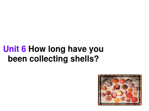 Unit_6_How_long_have_you_been_collecting_shells_课件