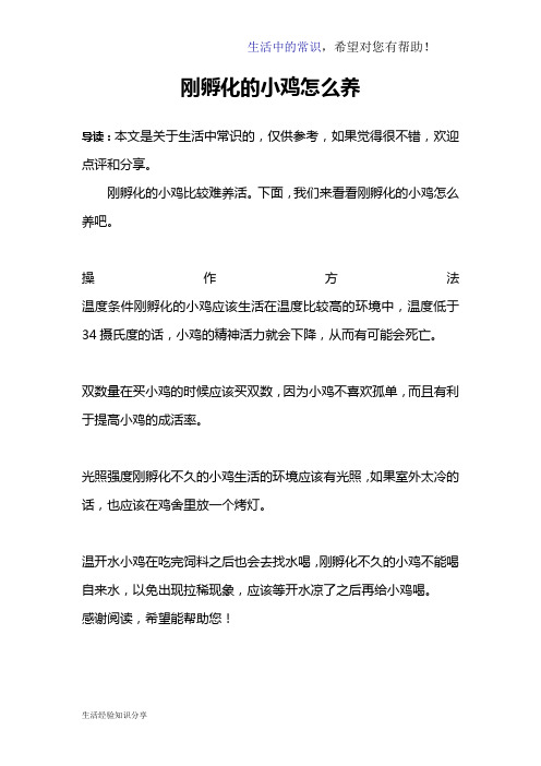 刚孵化的小鸡怎么养