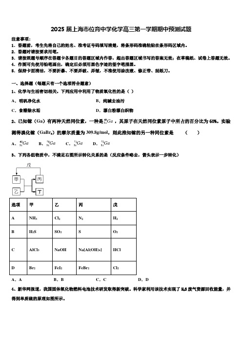 2025届上海市位育中学化学高三第一学期期中预测试题含解析