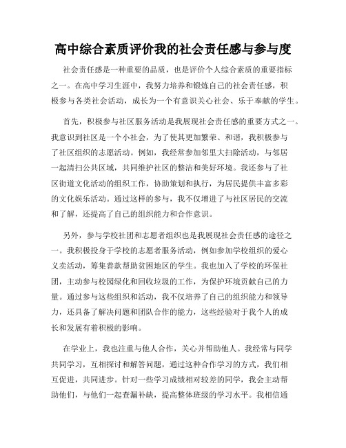 高中综合素质评价我的社会责任感与参与度