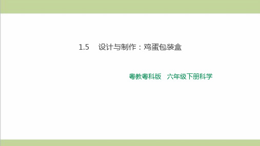 (新教材)粤教版六年级下册科学-1.5-设计与制作：鸡蛋包装盒-ppt课件