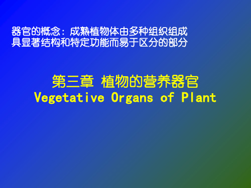 第三章植物的营养器官根ppt课件