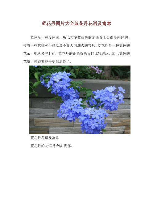 蓝花丹图片大全 蓝花丹花语及寓意