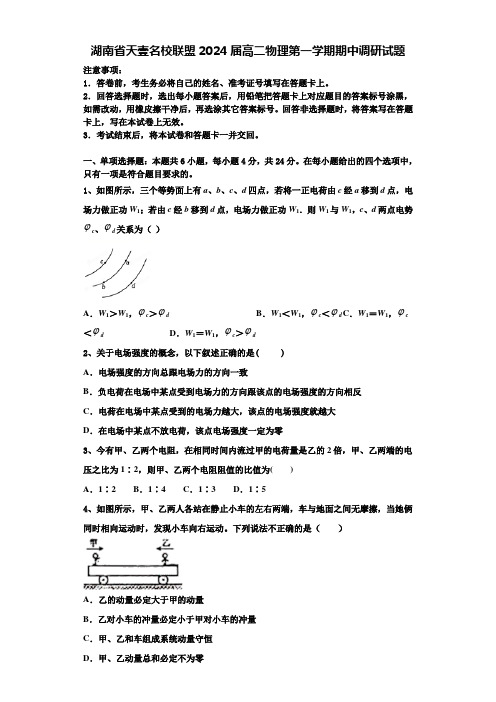 湖南省天壹名校联盟2024届高二物理第一学期期中调研试题含解析