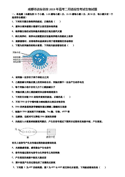 成都市达标名校2019年高考二月适应性考试生物试题含解析