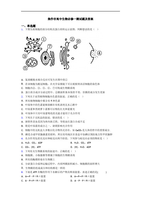 焦作市高中生物必修一测试题及答案