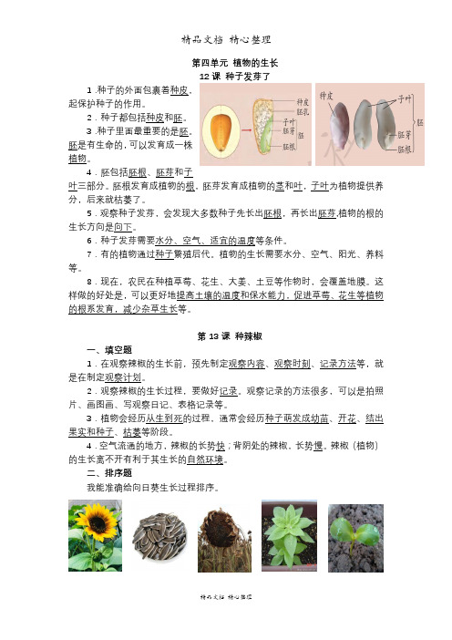 (新教材)青岛版五四制三年级下册科学第四单元 植物的生长 单元知识点梳理