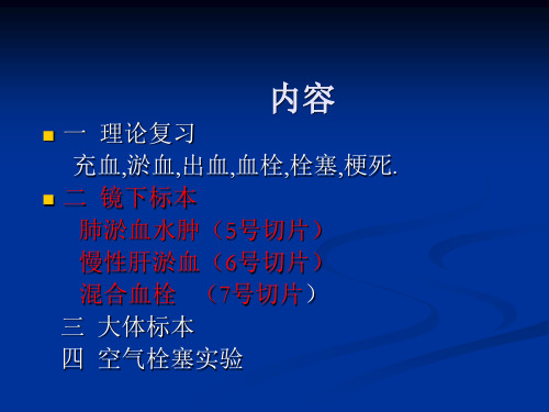 病理学图谱 实验二局部血液循环障碍 ppt课件