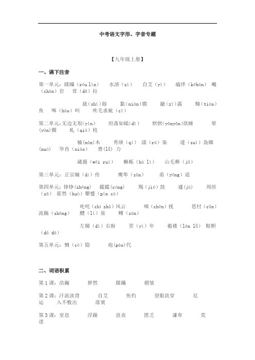 中考语文字形、字音专题