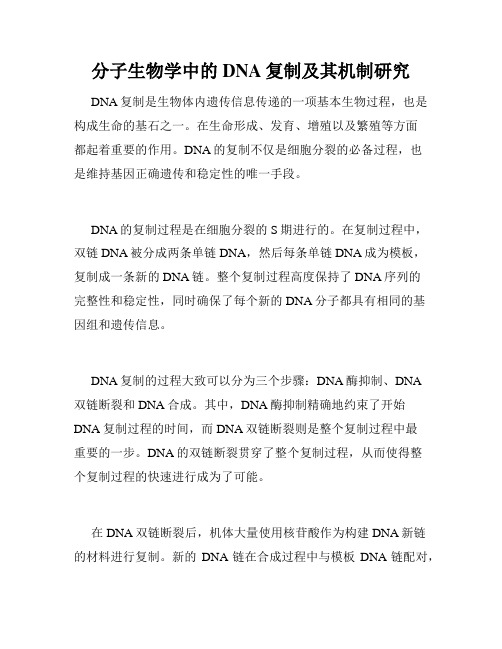 分子生物学中的DNA复制及其机制研究