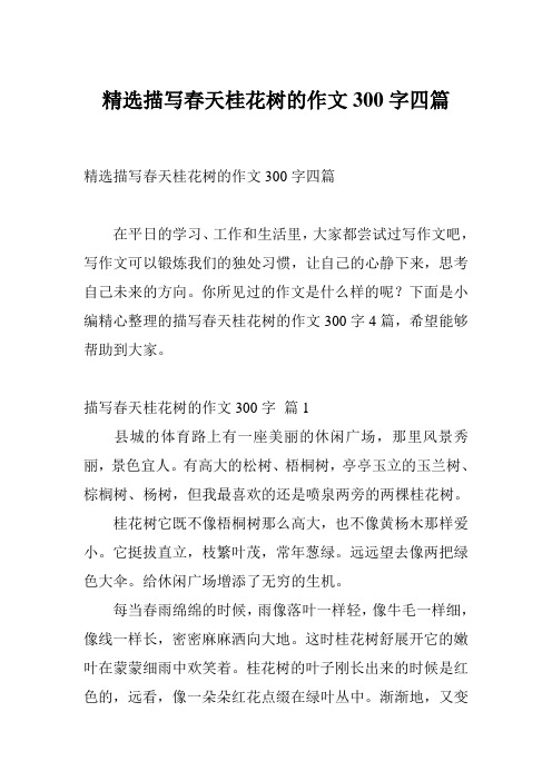 精选描写春天桂花树的作文300字四篇
