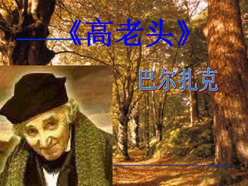 _《高老头》