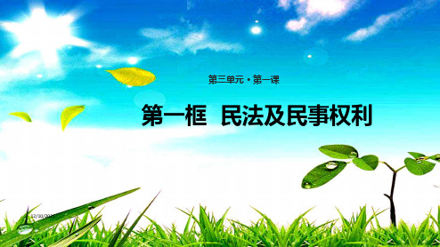 八年级道德与法治 第三单元 定分止争 依法有据 3.1 民法保障民事权利 第1框 民法及民事权利