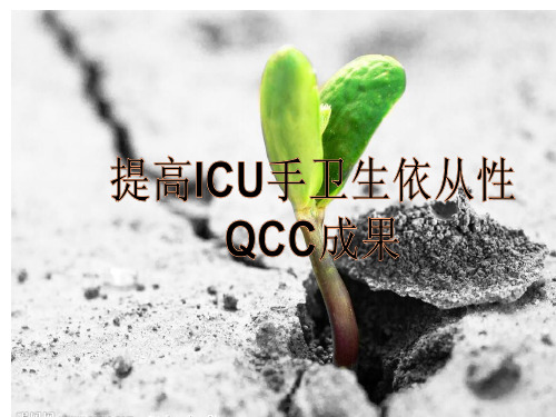 提高ICU手卫生依从性QCC(一)