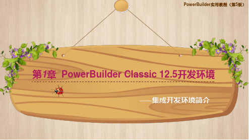 PowerBuilder实用教程第1章 PowerBuilder Classic 12.5开发环境