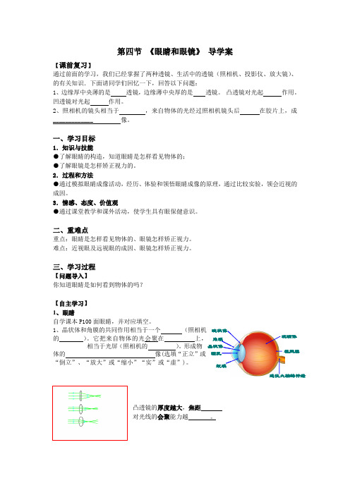 眼睛和眼镜导学案1