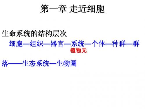 高二学业水平复习(必修一1、2章)